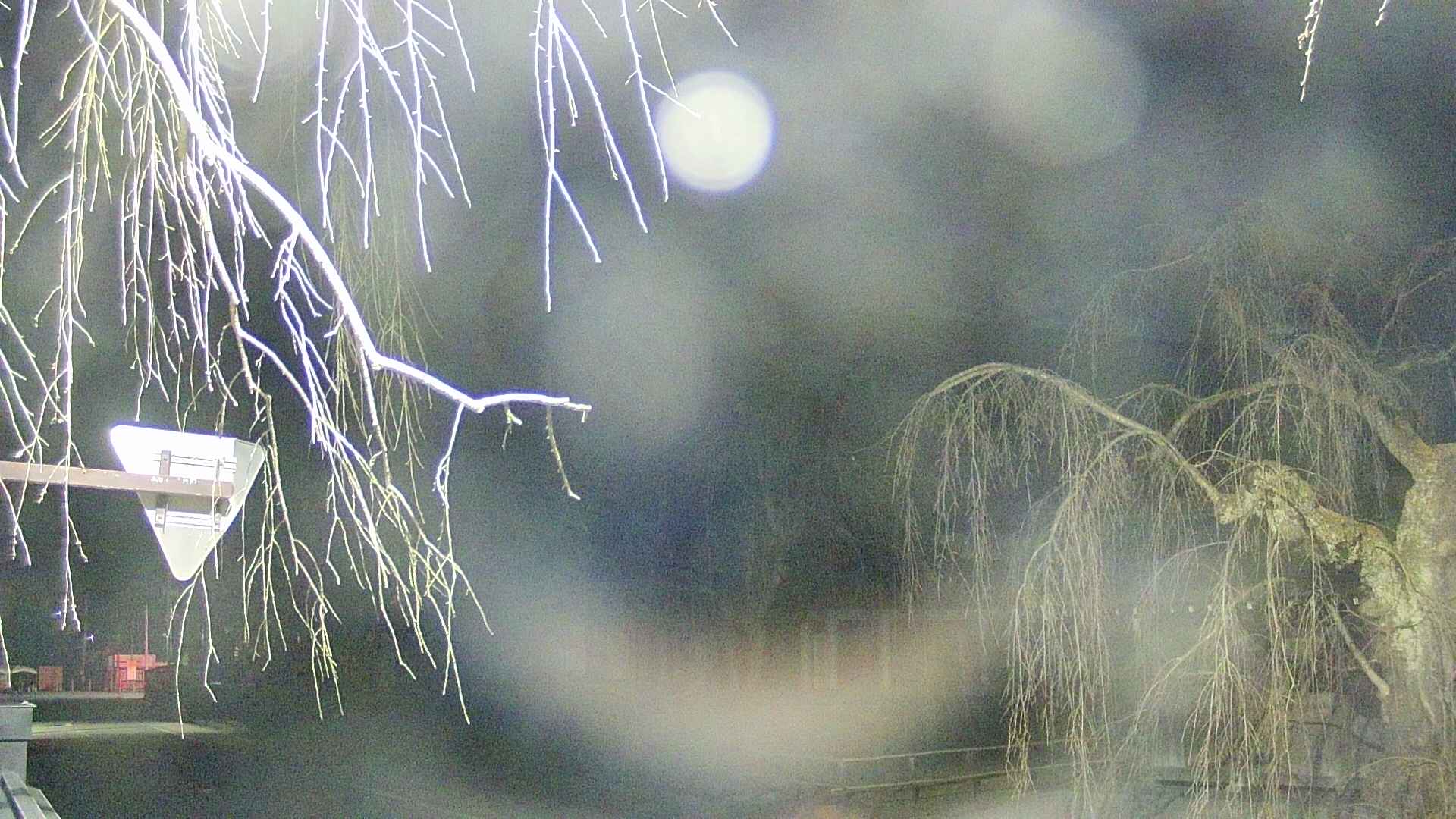 area1-20250411013016.jpg