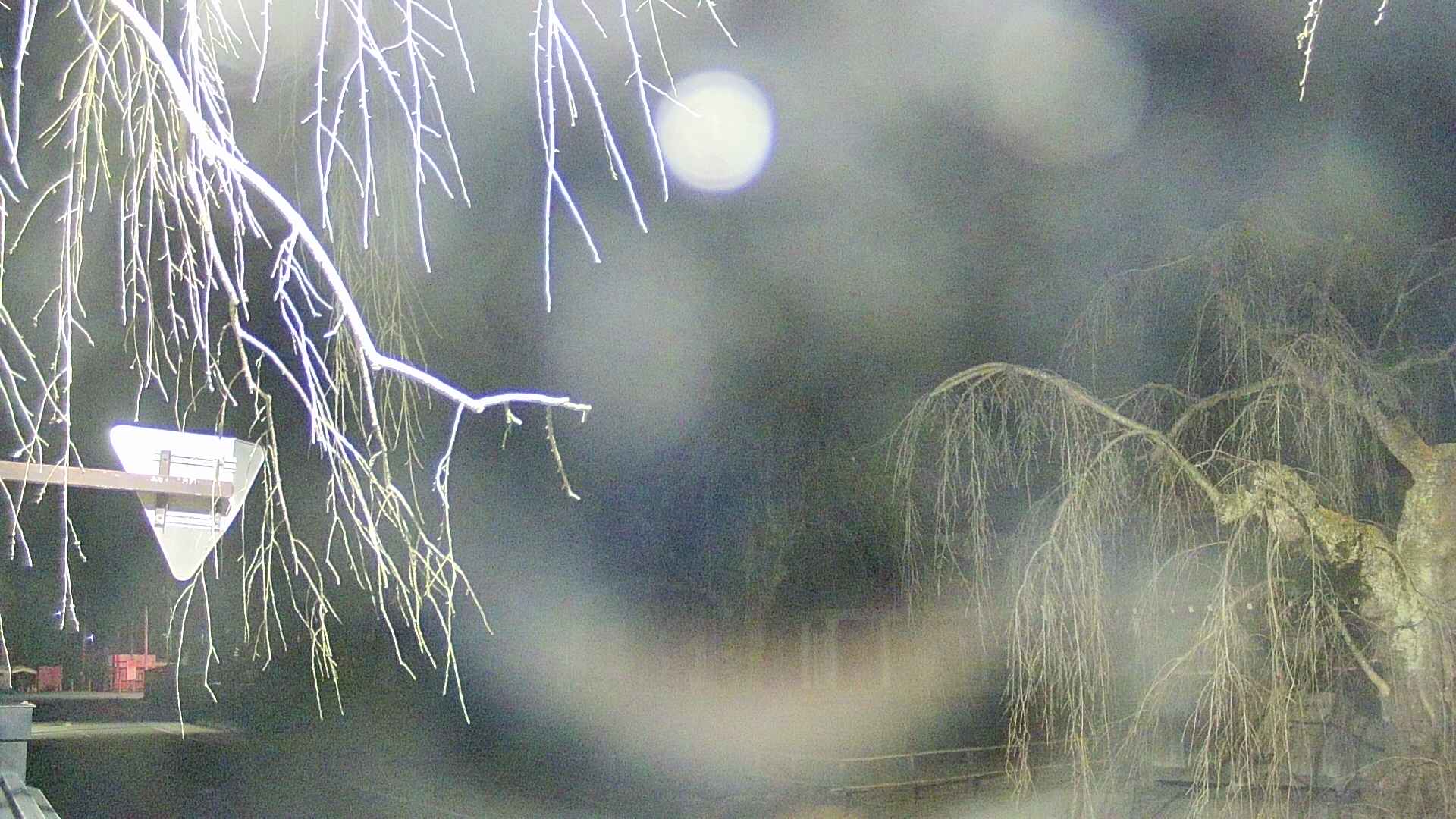 area1-20250411015014.jpg