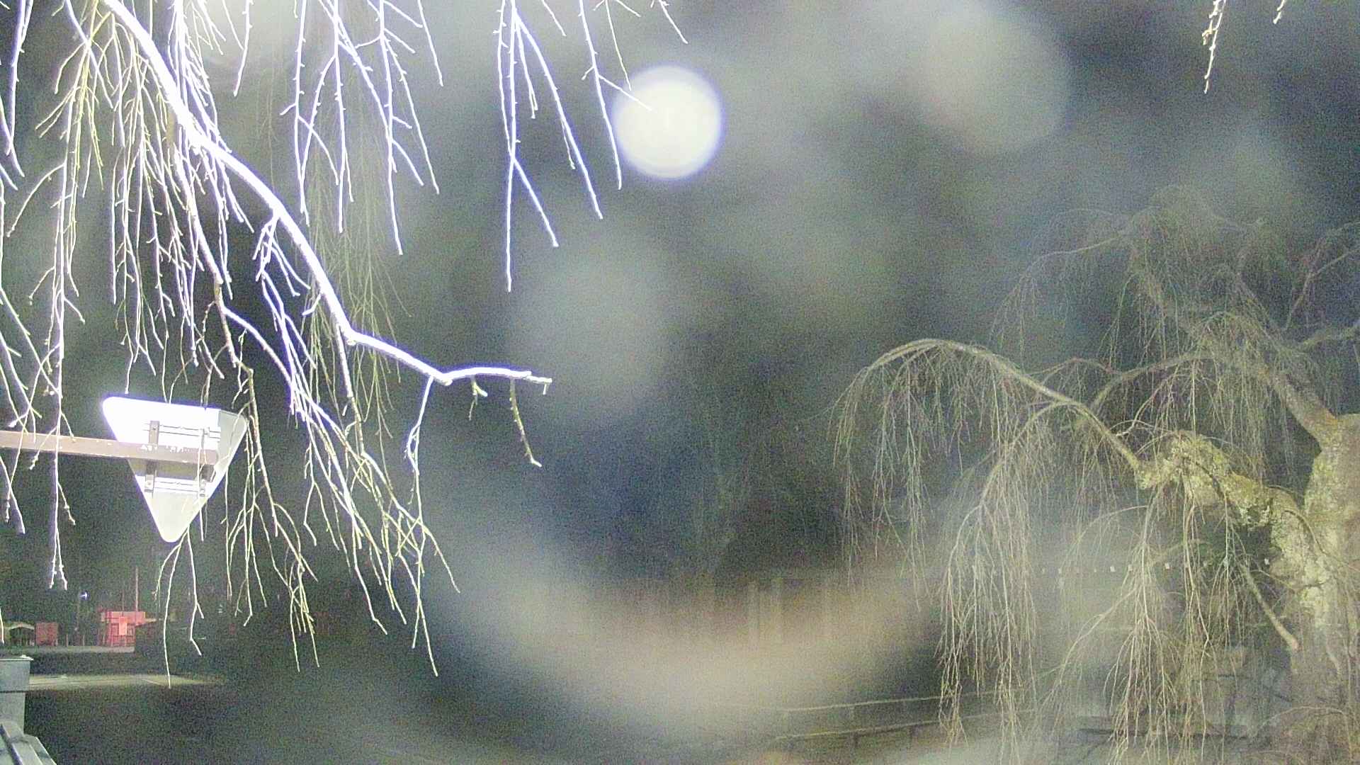 area1-20250411024016.jpg