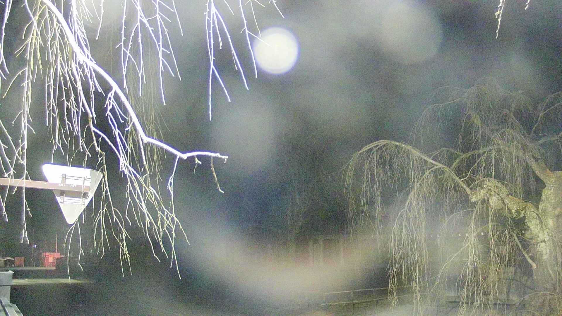 area1-20250411030016.jpg