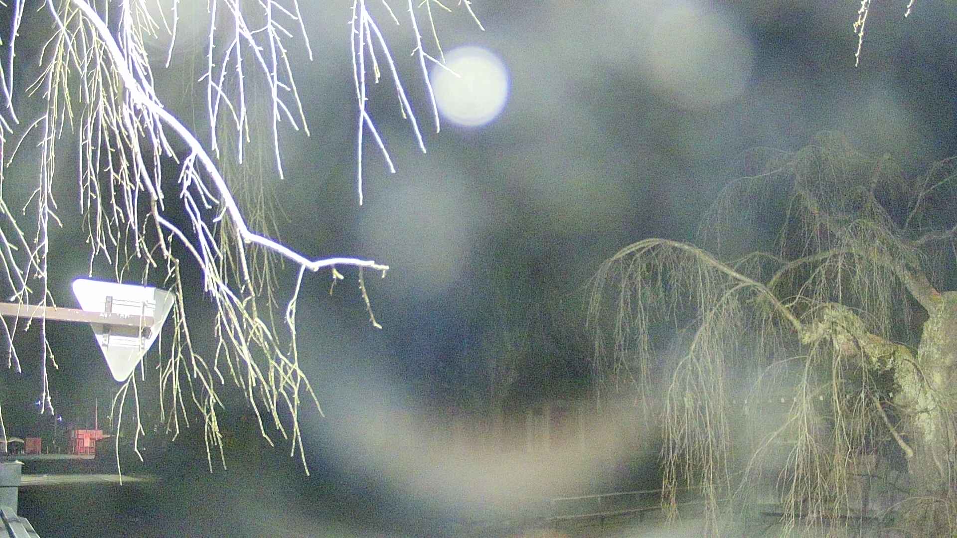 area1-20250411033016.jpg