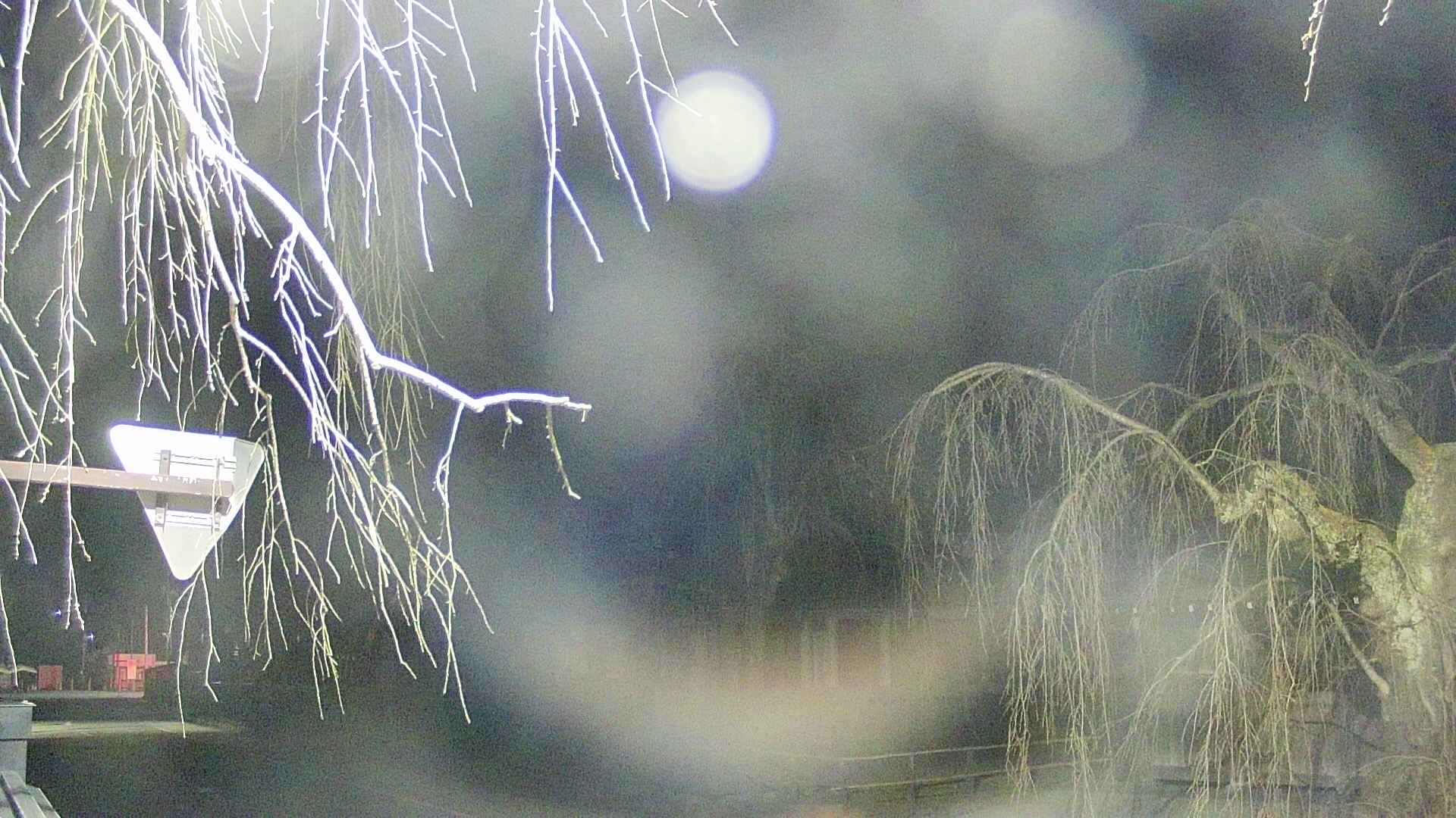 area1-20250411034016.jpg