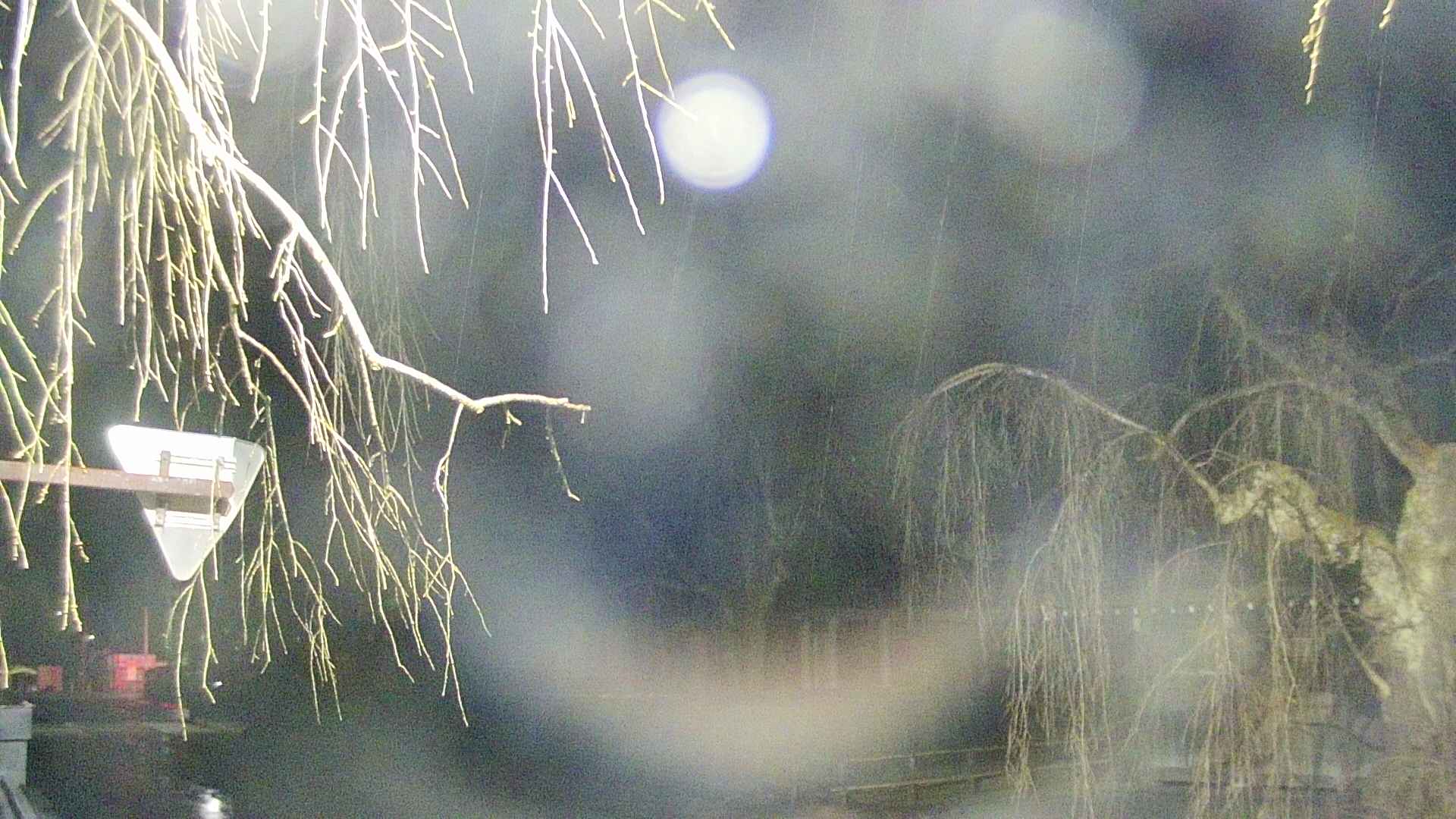 area1-20250411041015.jpg