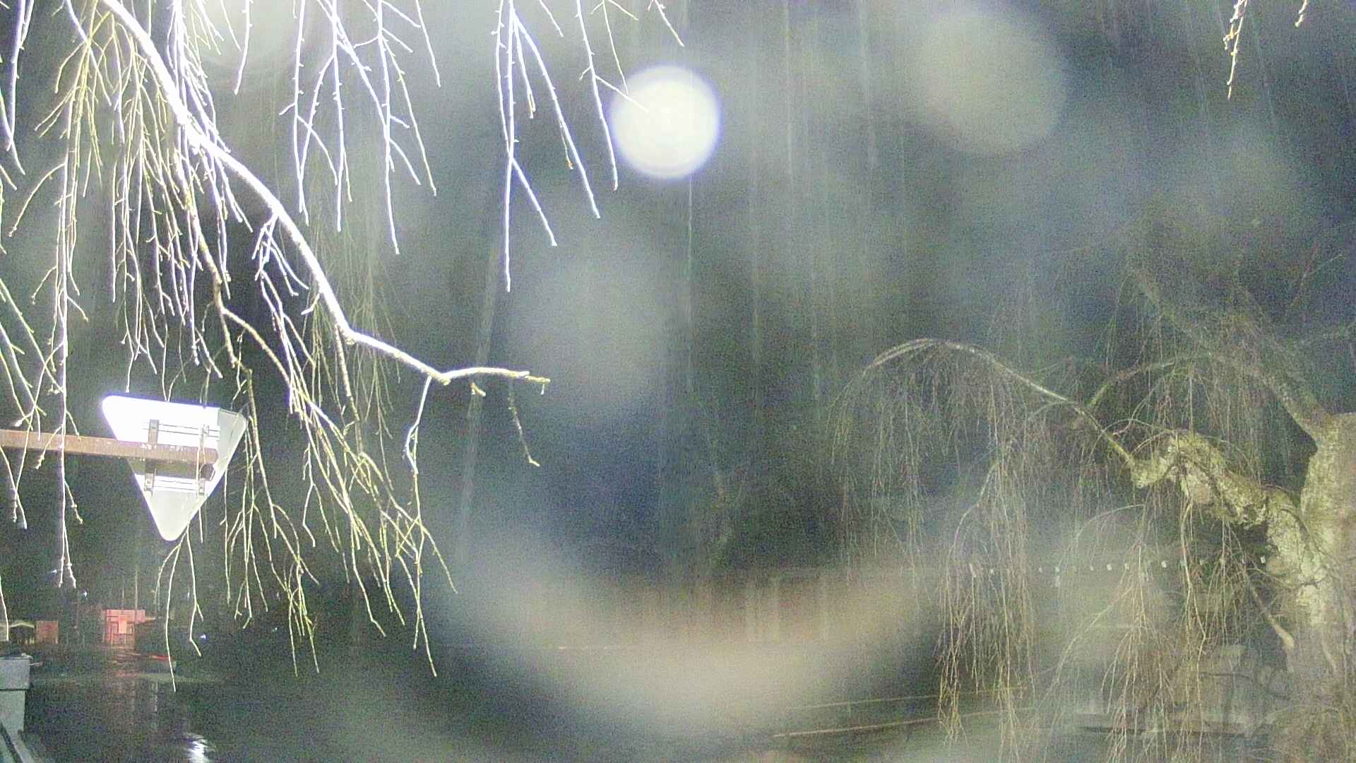 area1-20250411042016.jpg