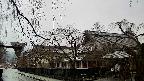 area1-20250411112015.jpg