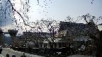 area1-20250411155017.jpg
