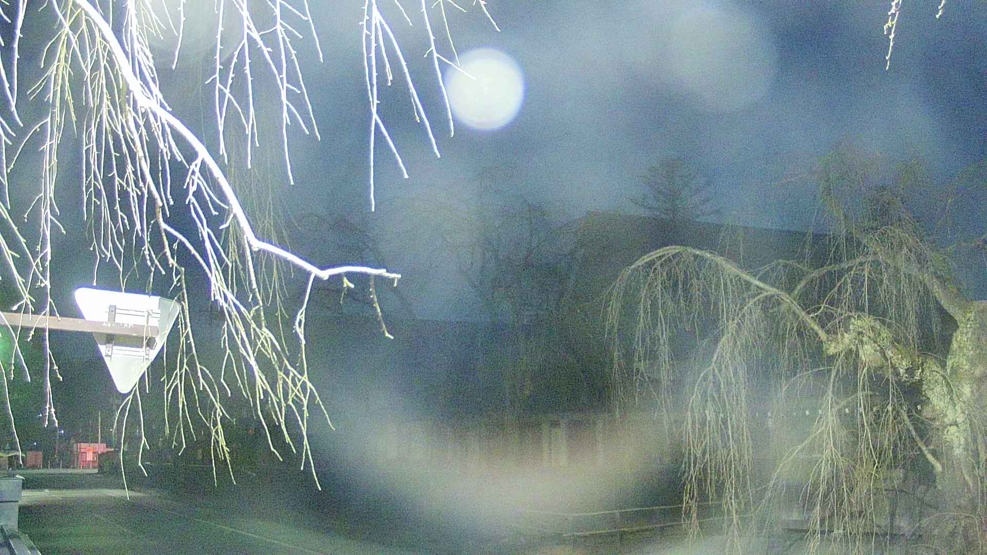area1-20250411190016.jpg