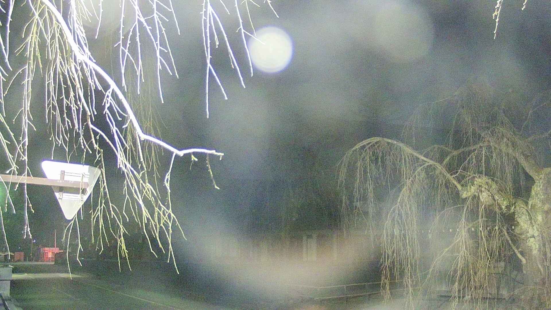 area1-20250411212015.jpg