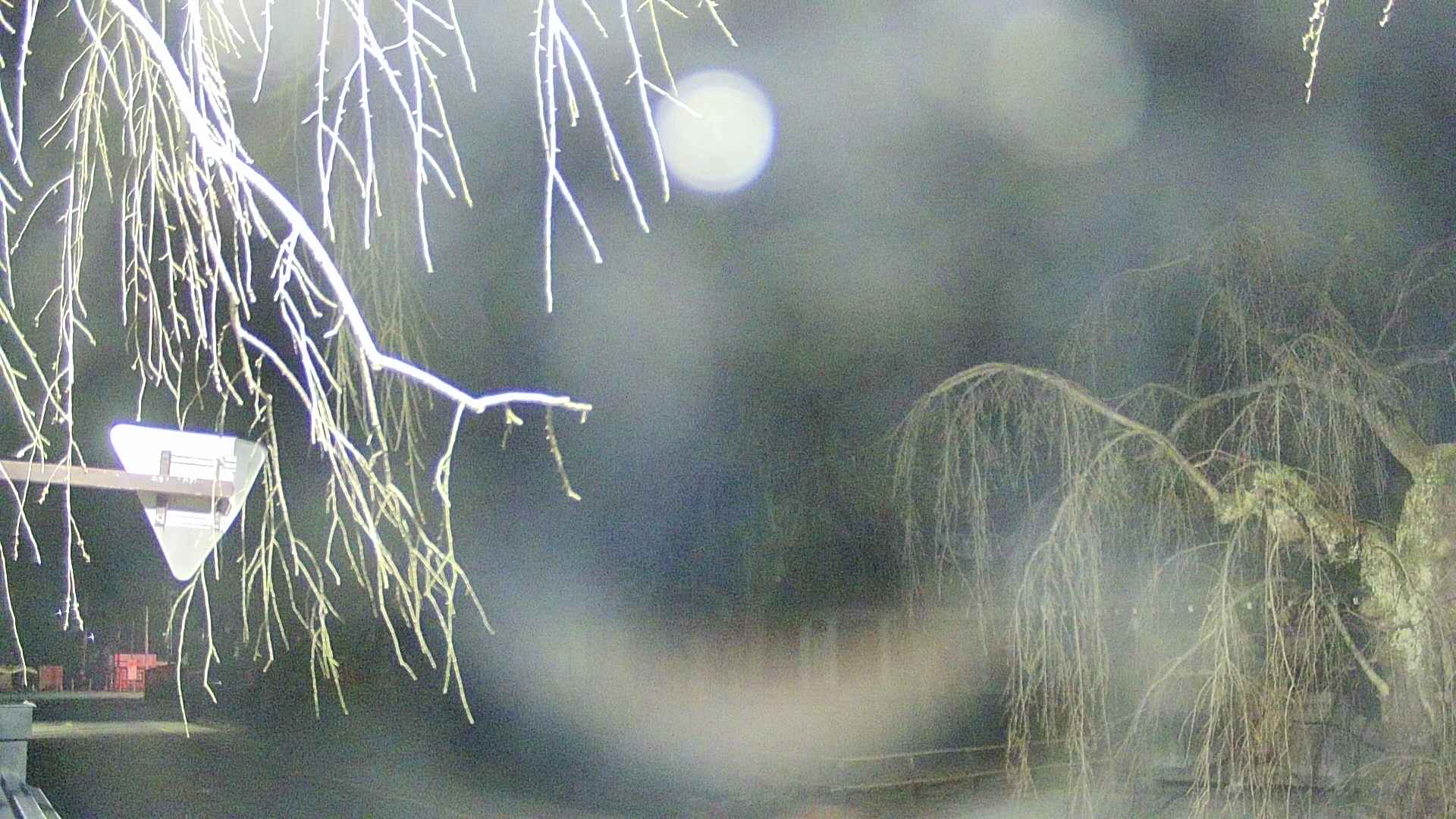 area1-20250412013017.jpg
