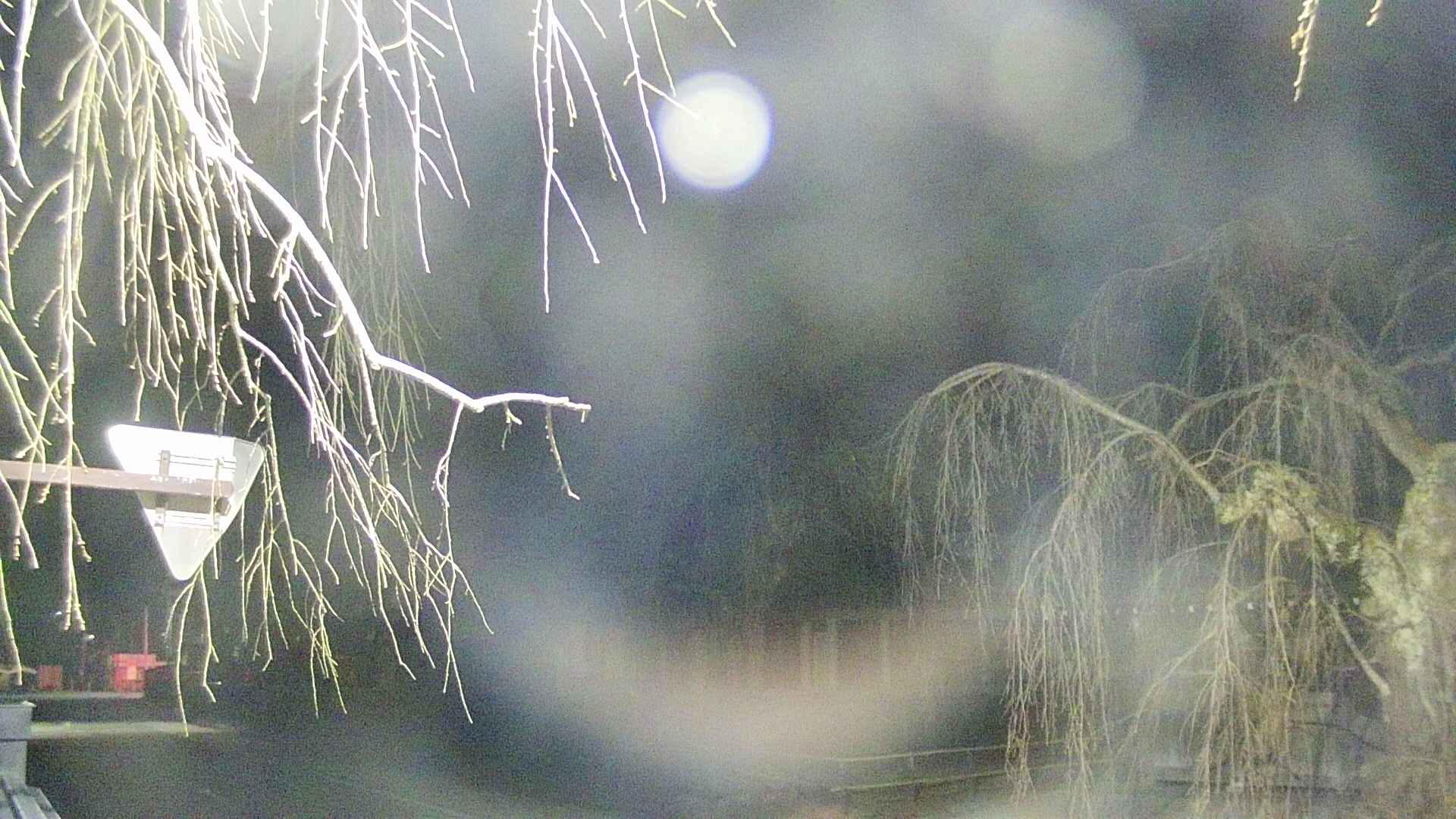 area1-20250412021014.jpg