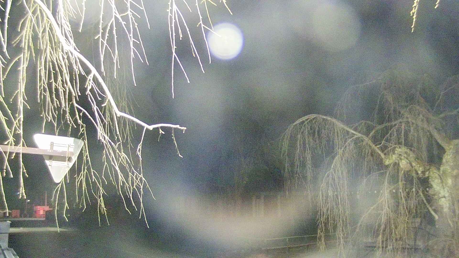 area1-20250412024016.jpg