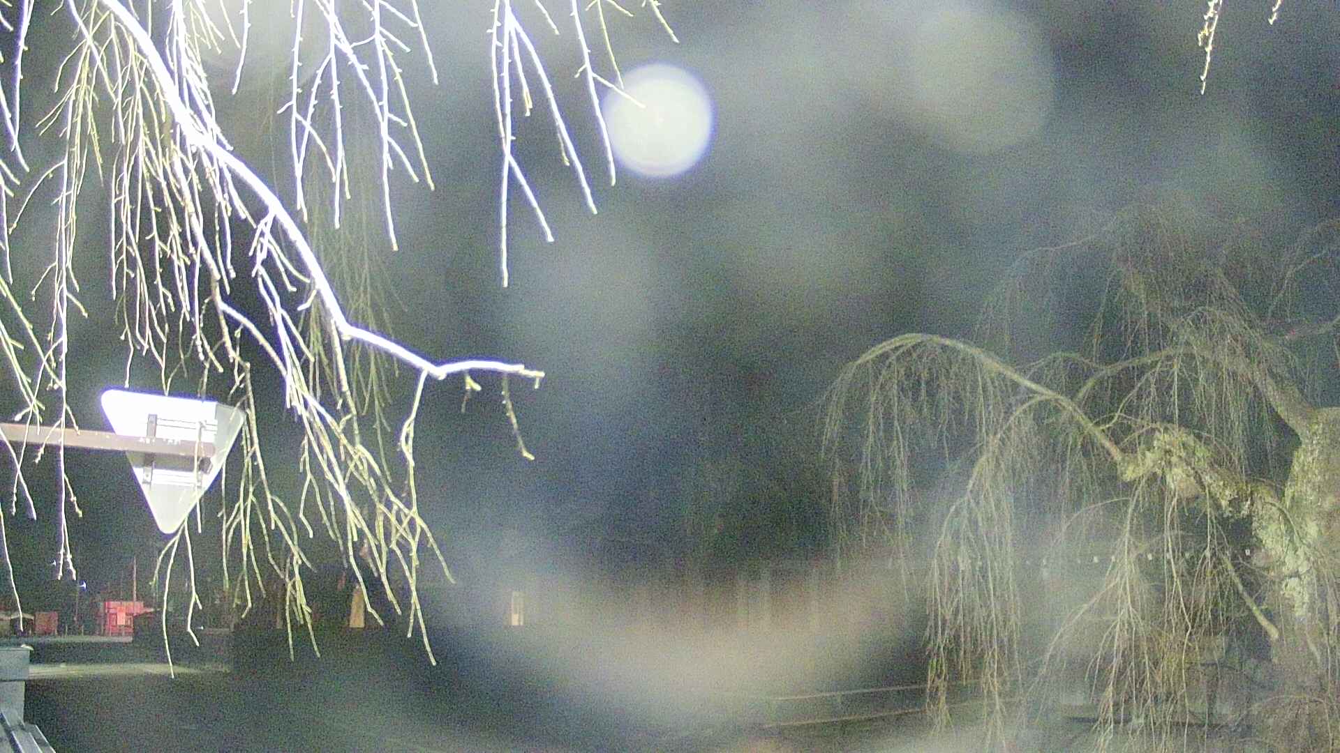area1-20250412025016.jpg