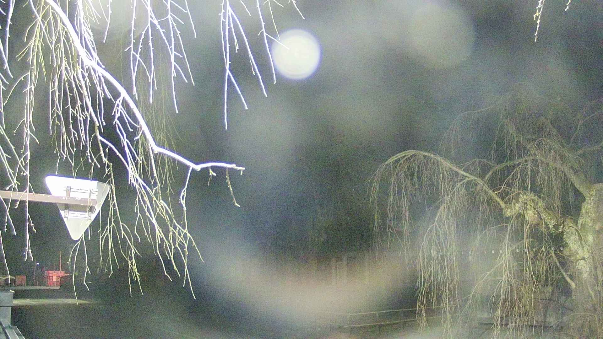 area1-20250412030016.jpg