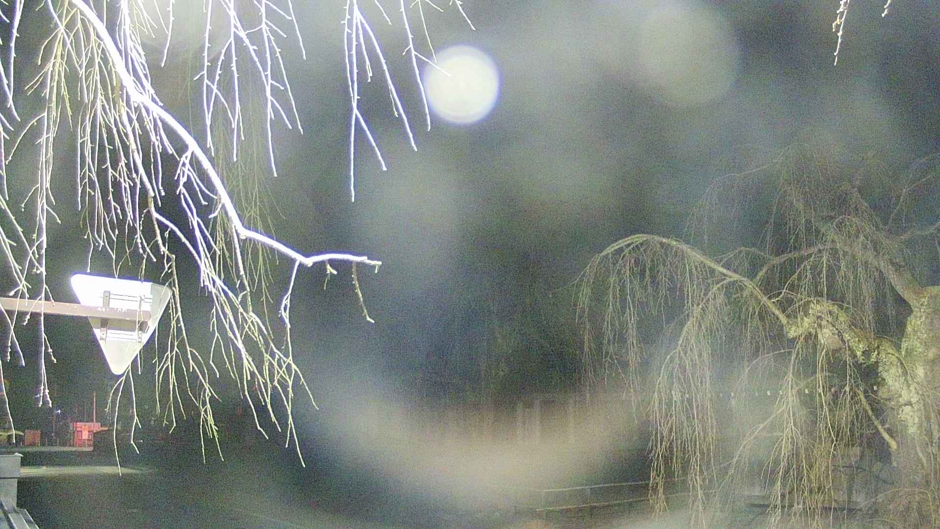 area1-20250412032016.jpg