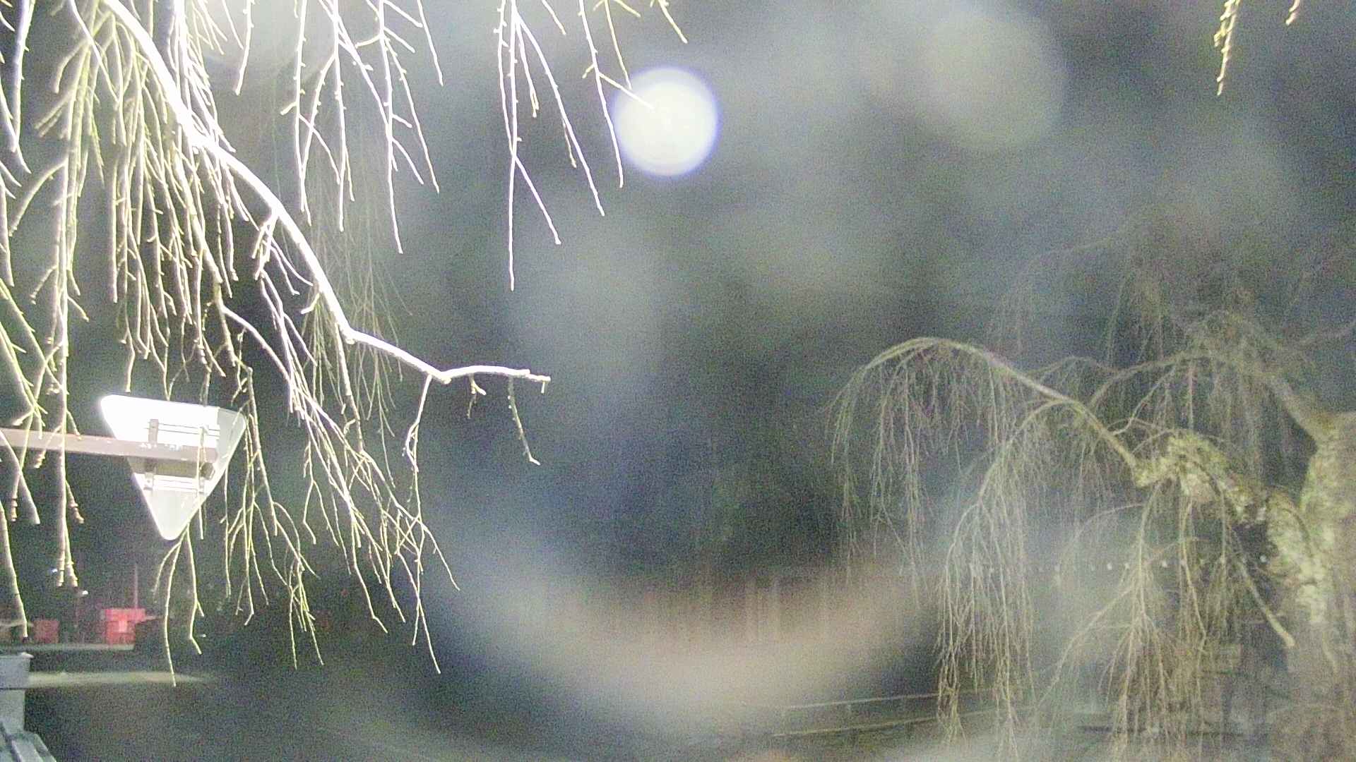 area1-20250412040016.jpg