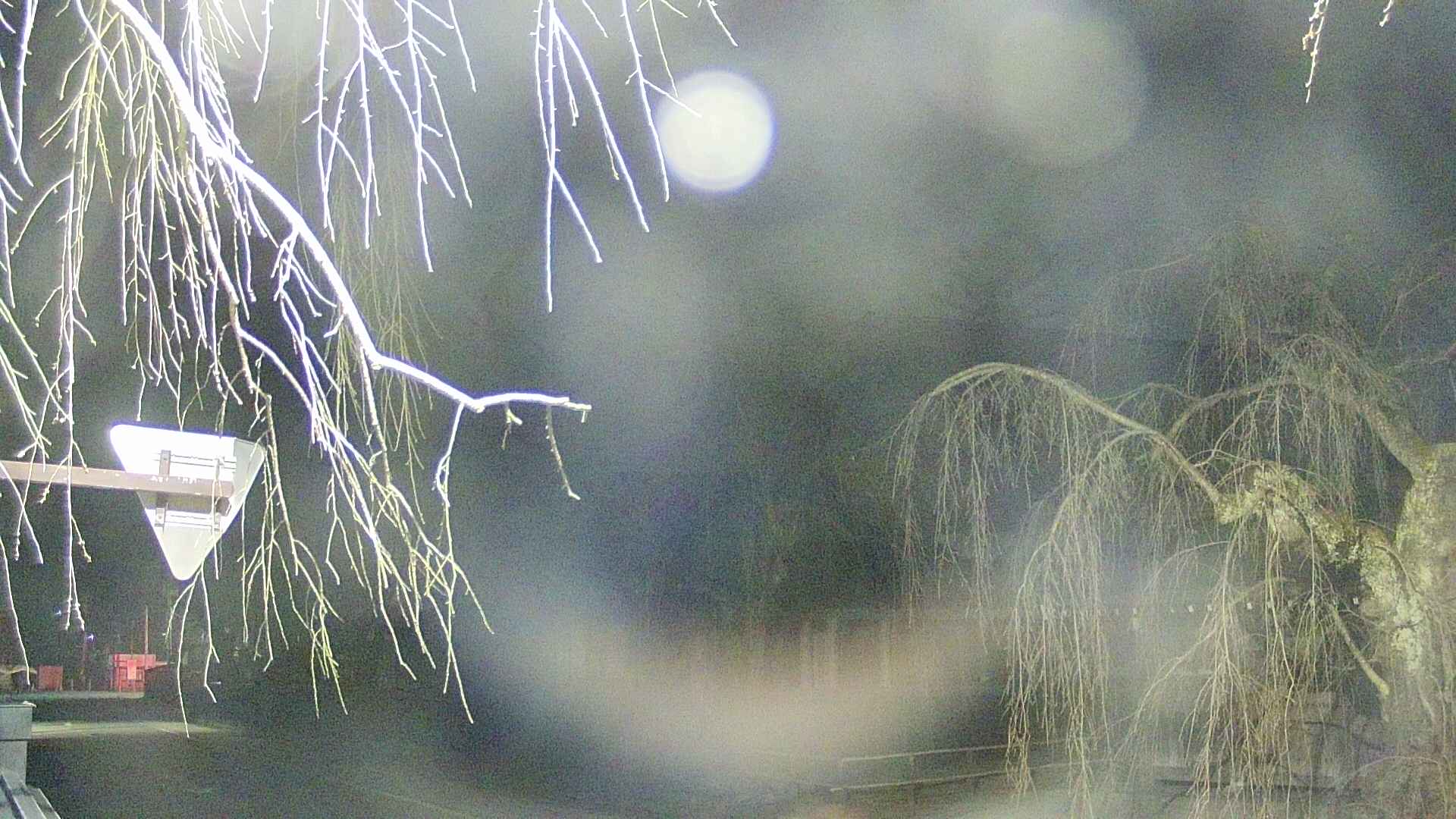 area1-20250412041016.jpg