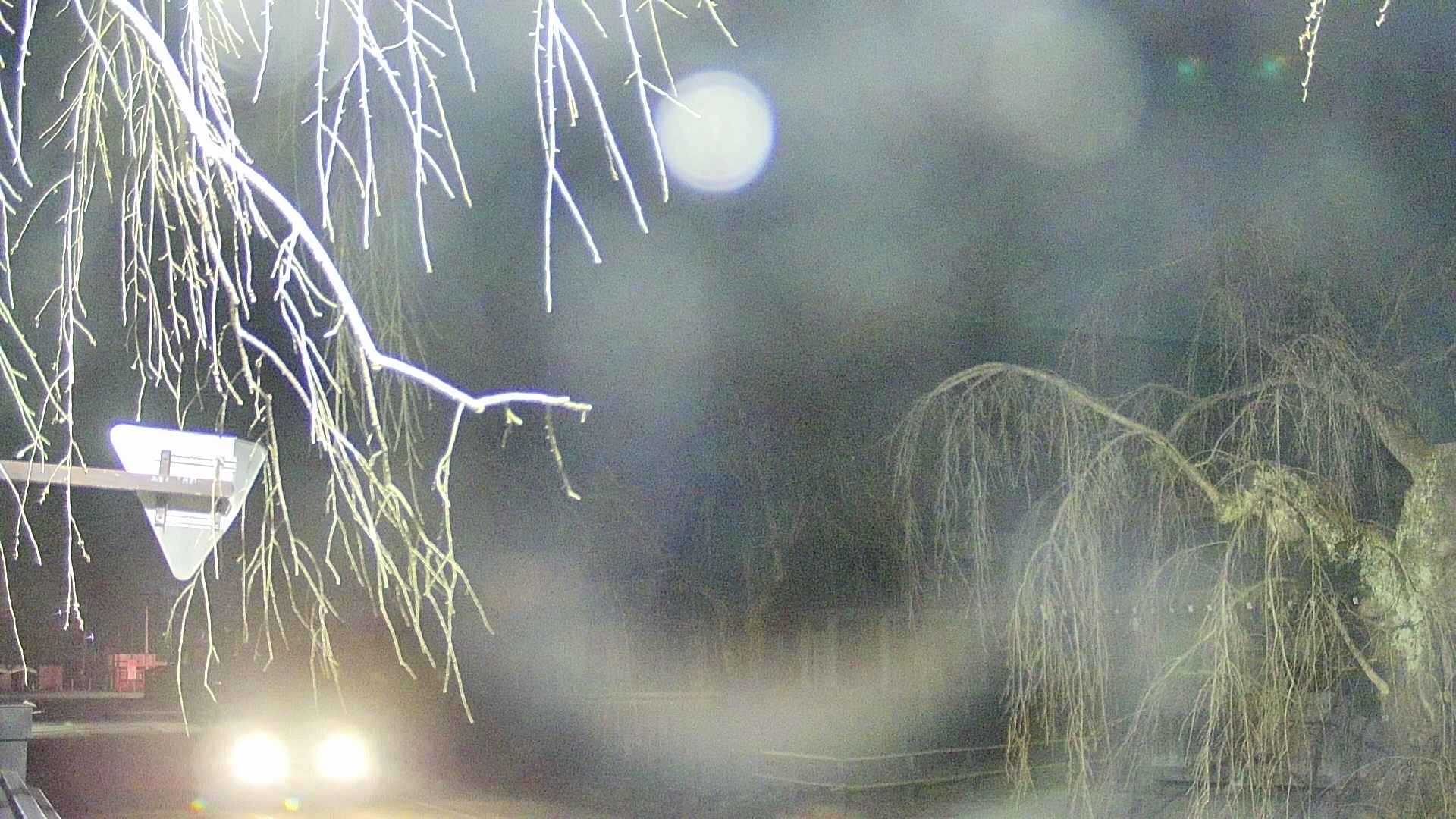area1-20250412042016.jpg