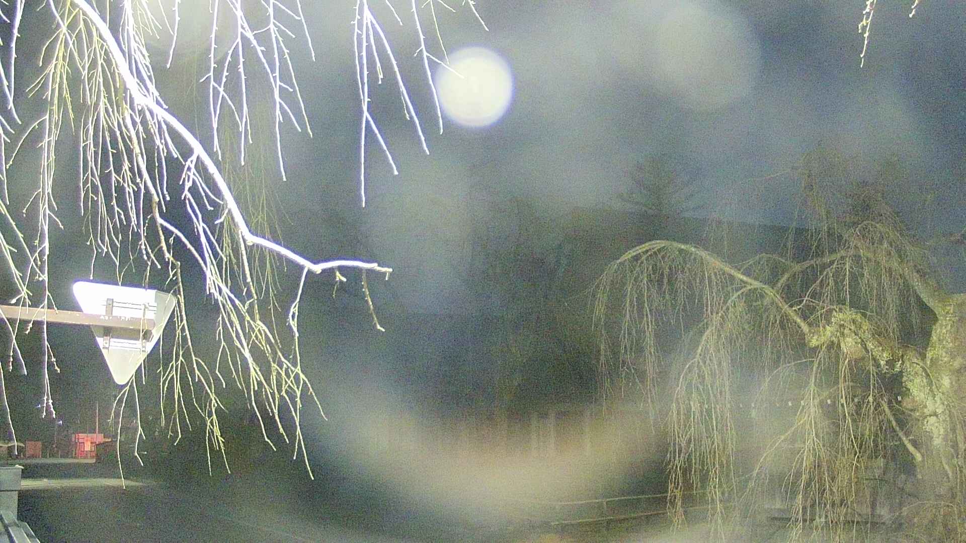 area1-20250412043016.jpg