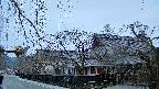 area1-20250412052015.jpg
