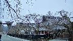 area1-20250412053018.jpg