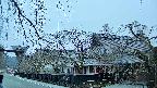 area1-20250412054016.jpg
