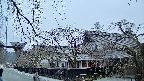 area1-20250412060017.jpg