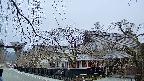 area1-20250412062016.jpg