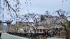 area1-20250412075016.jpg