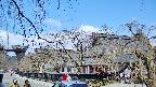 area1-20250412103014.jpg