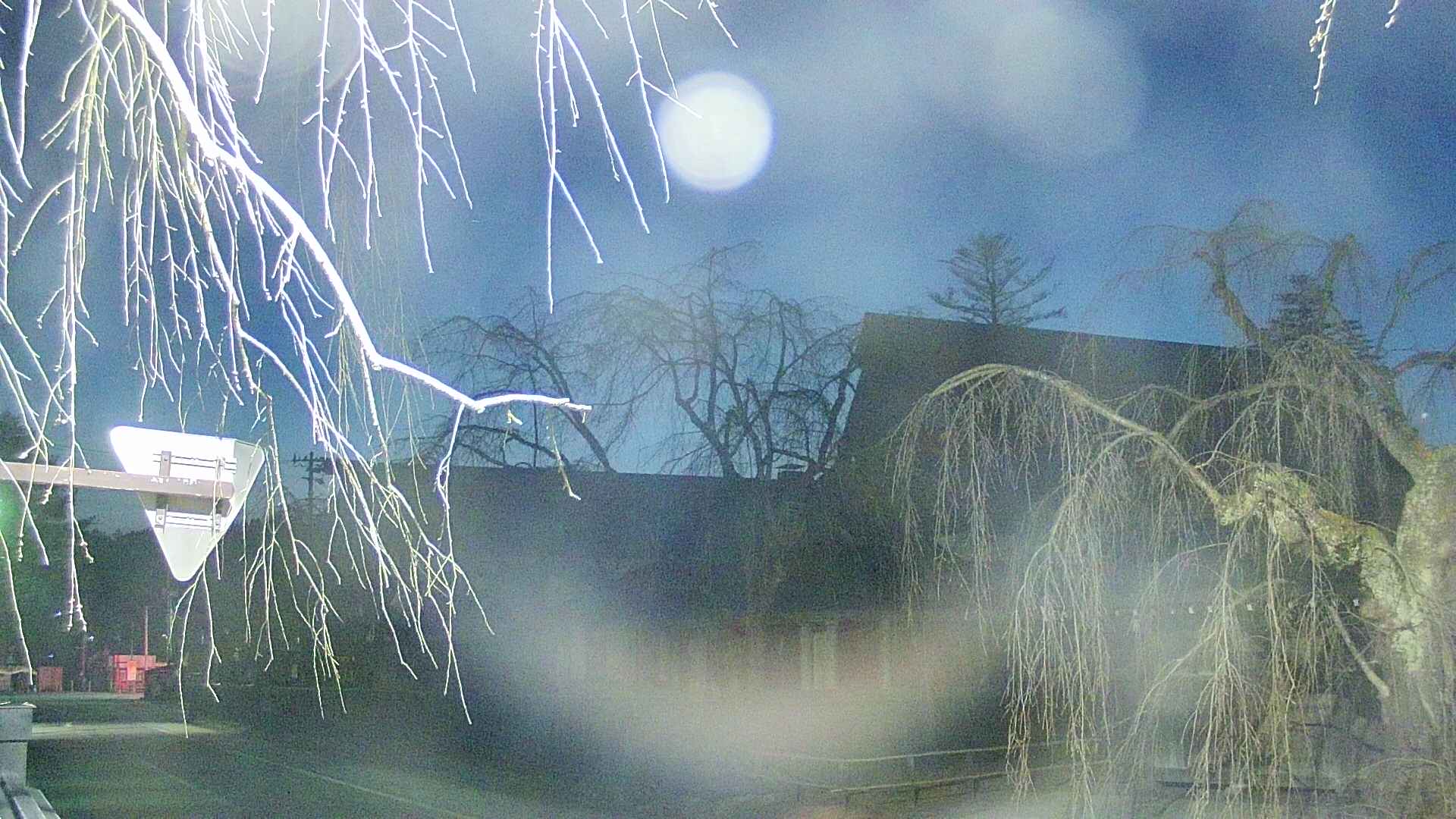 area1-20250412190016.jpg