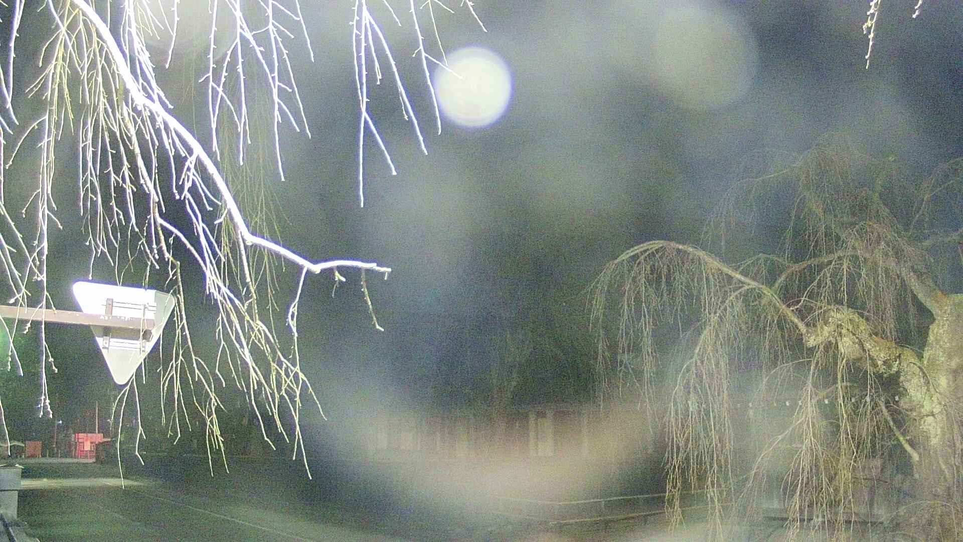area1-20250412215016.jpg