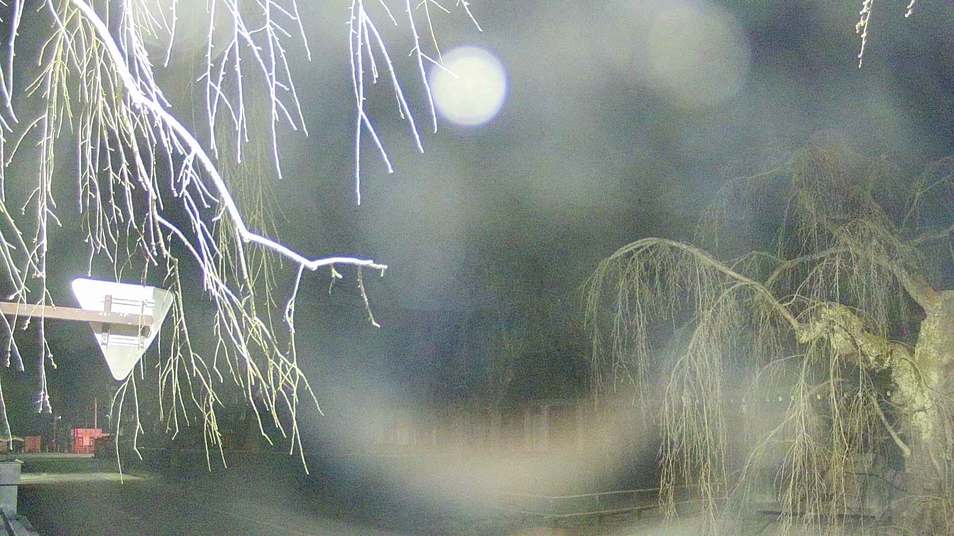 area1-20250413012016.jpg