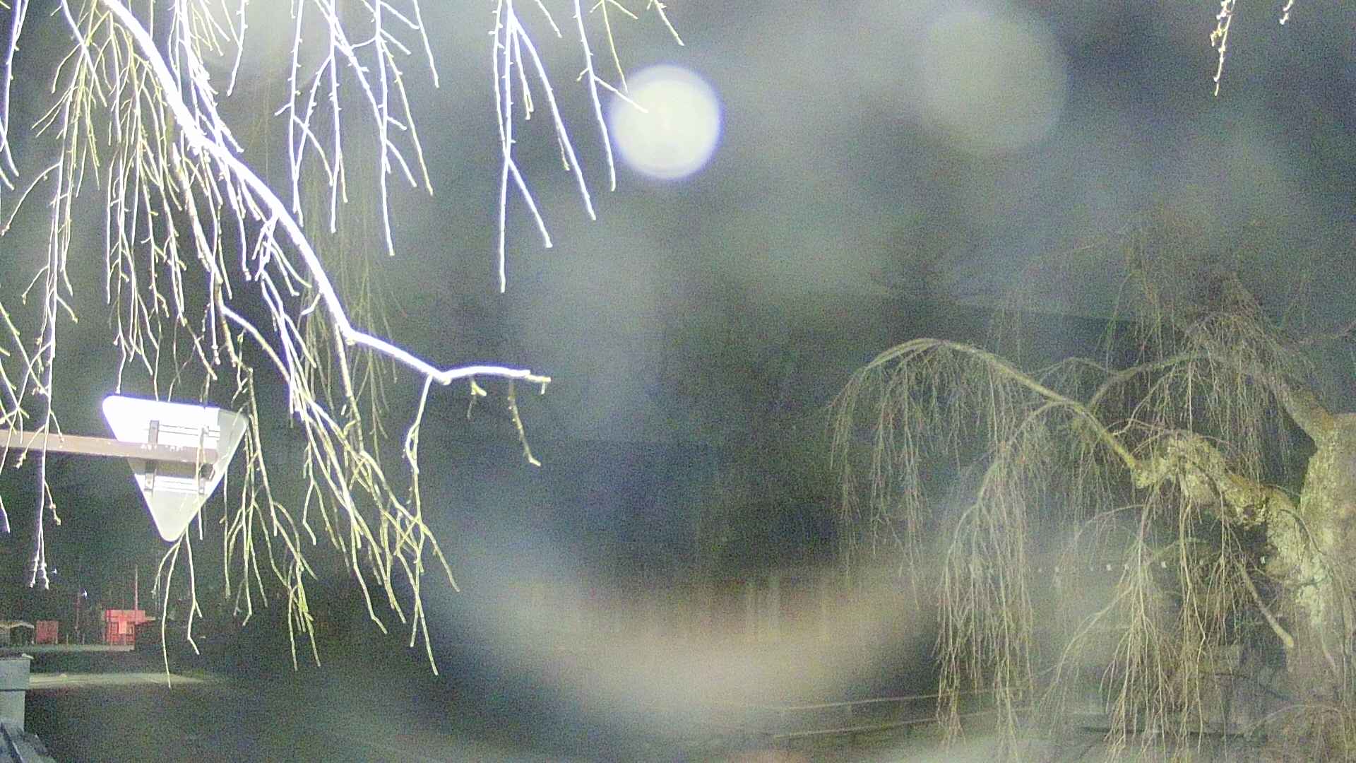 area1-20250413022015.jpg