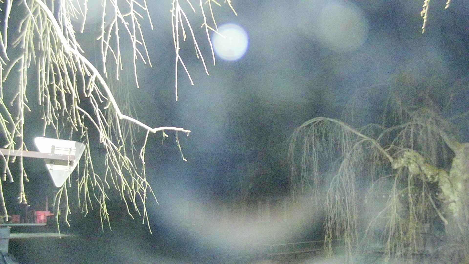 area1-20250413025017.jpg