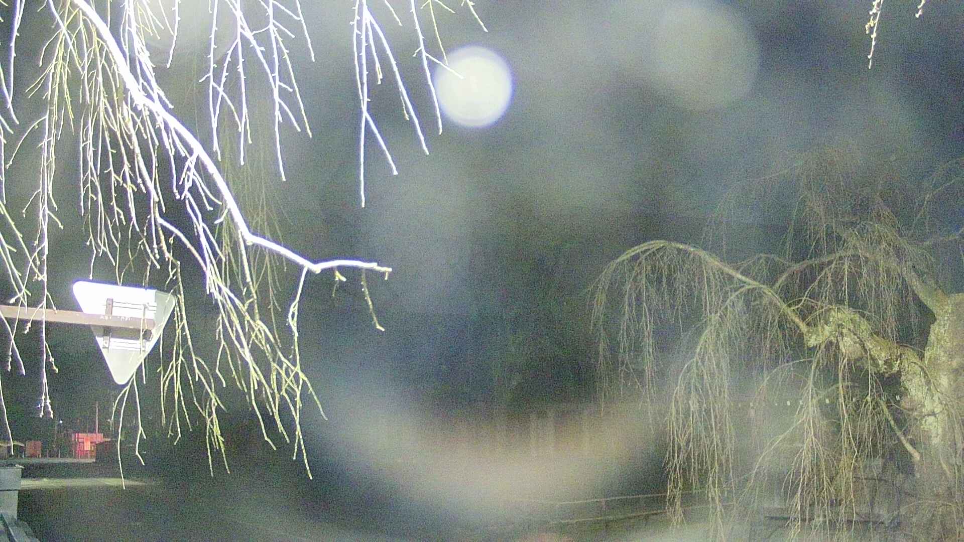 area1-20250413030015.jpg