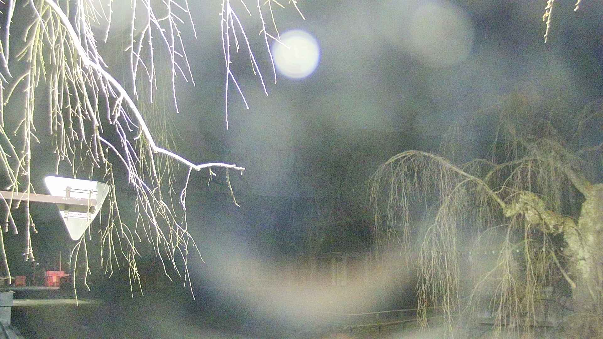 area1-20250413032015.jpg