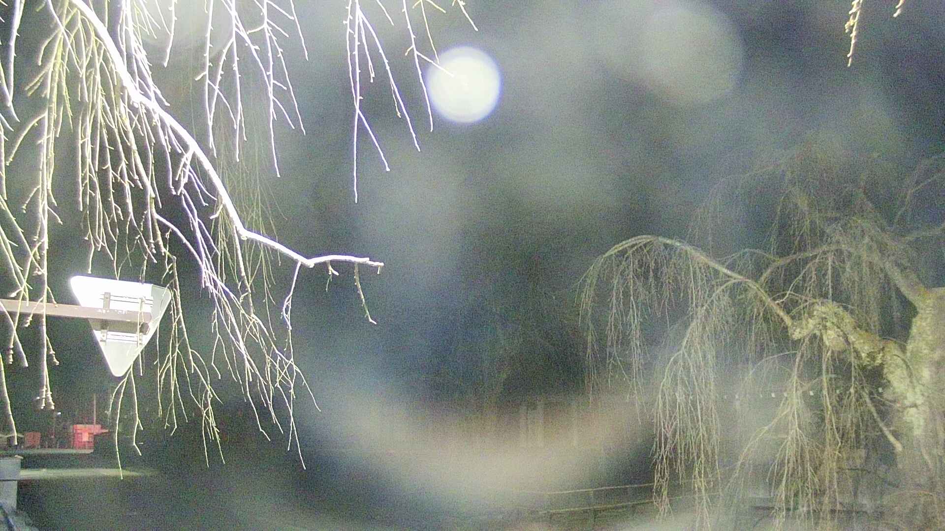 area1-20250413035016.jpg