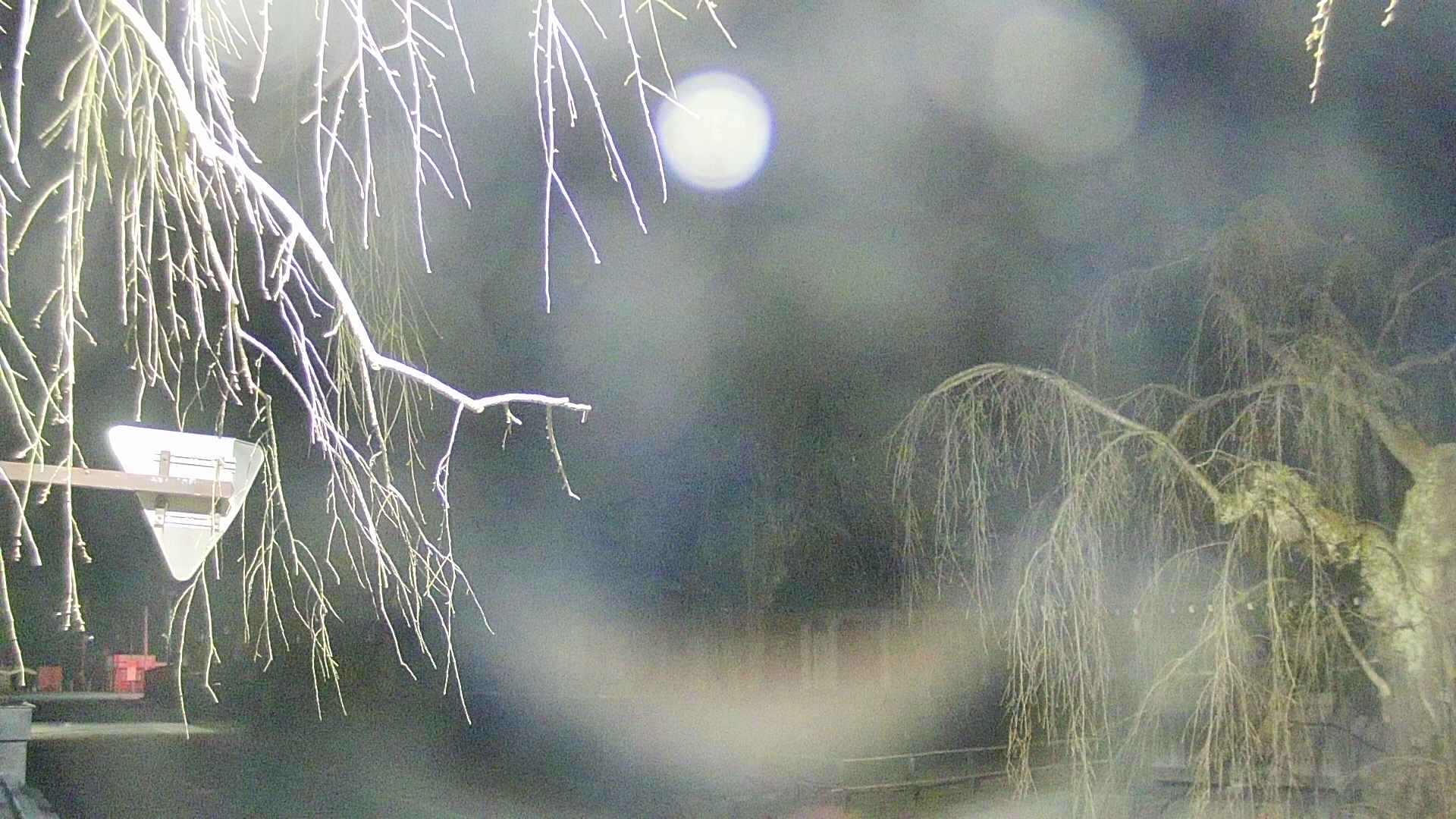 area1-20250413040016.jpg