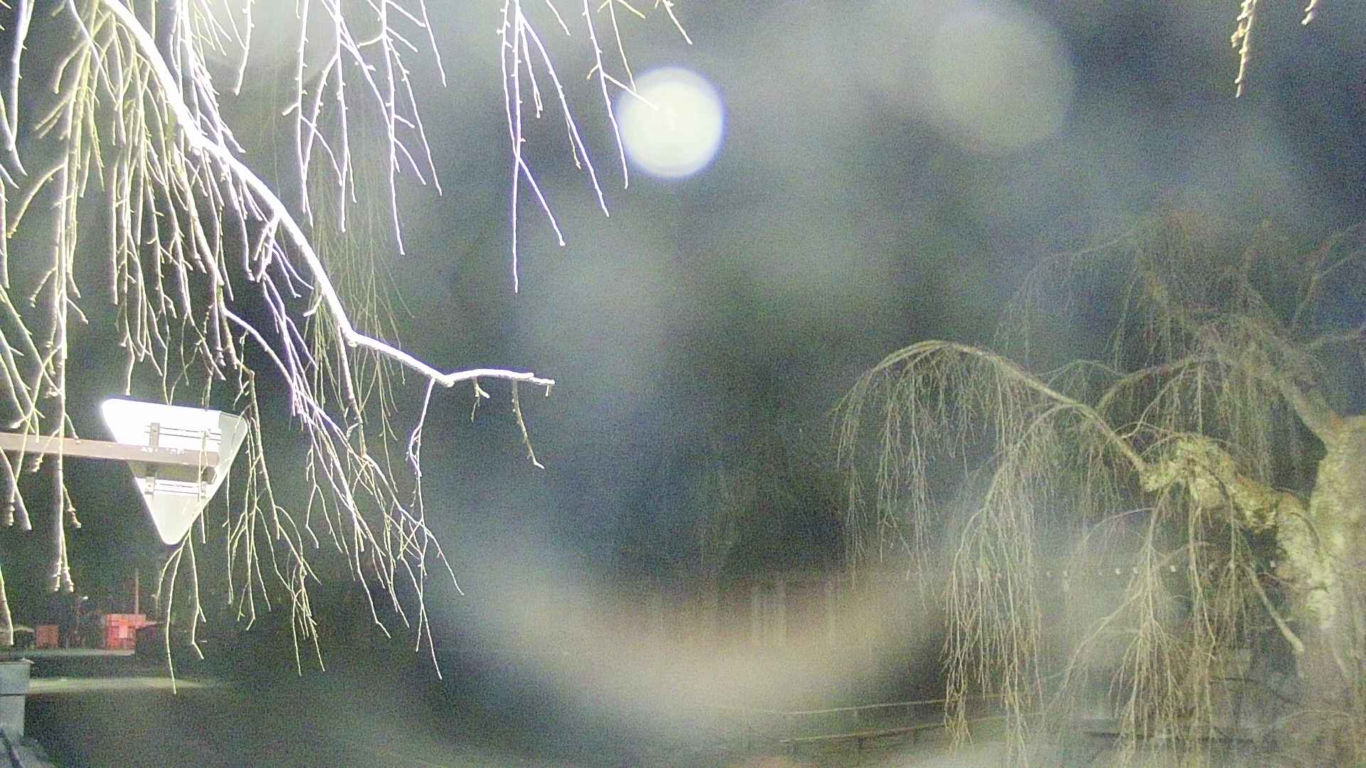 area1-20250413041015.jpg