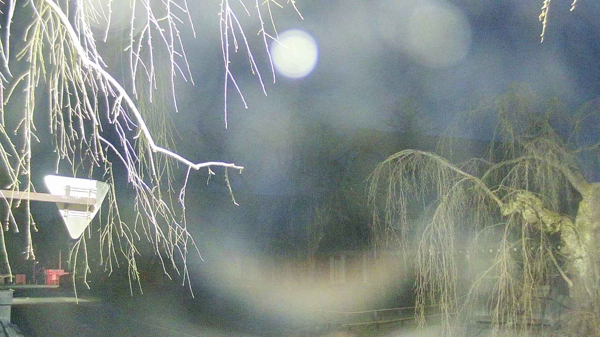 area1-20250413042017.jpg