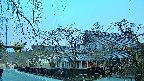 area1-20250413050017.jpg