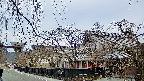 area1-20250413062017.jpg