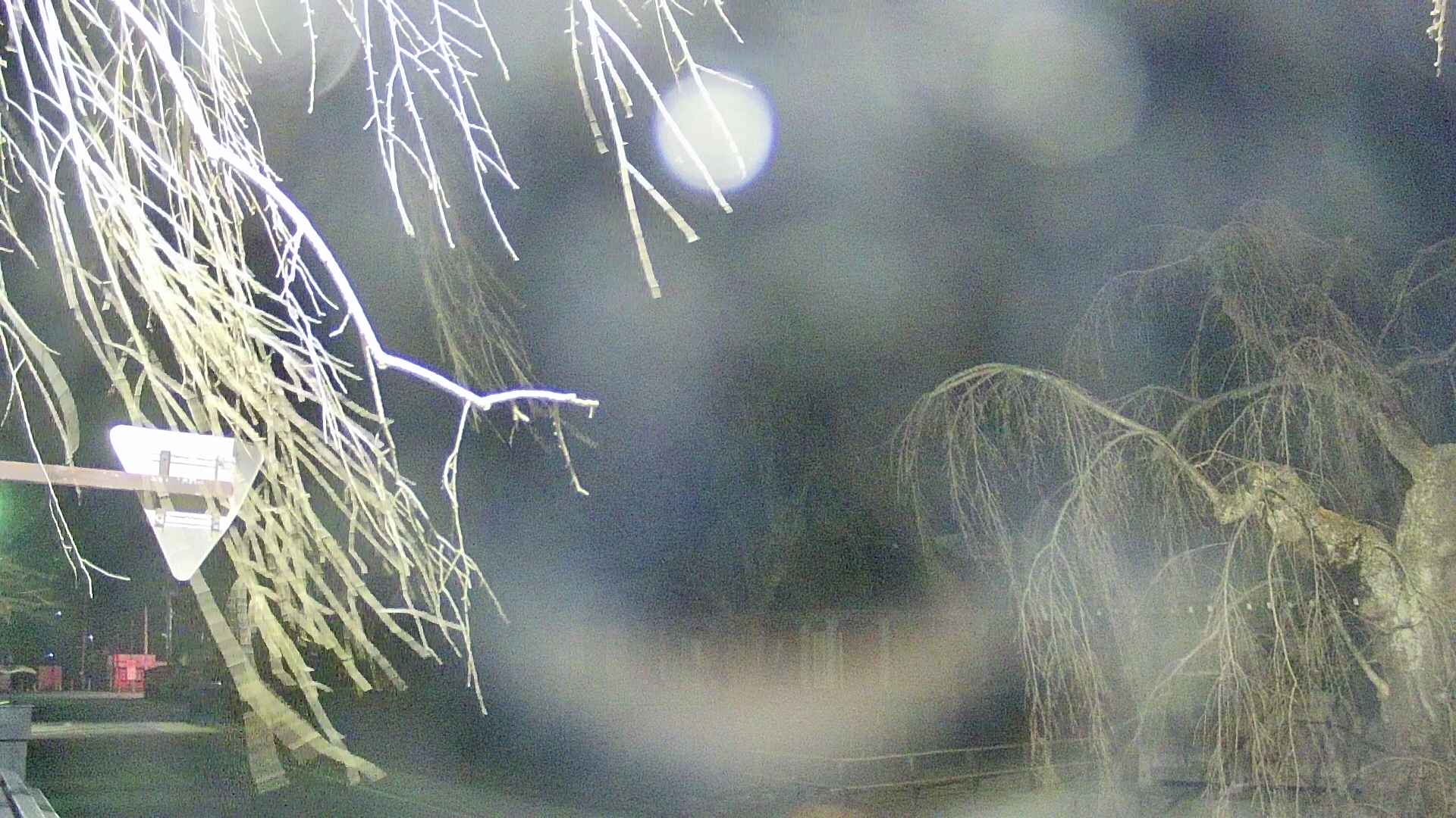 area1-20250413190016.jpg