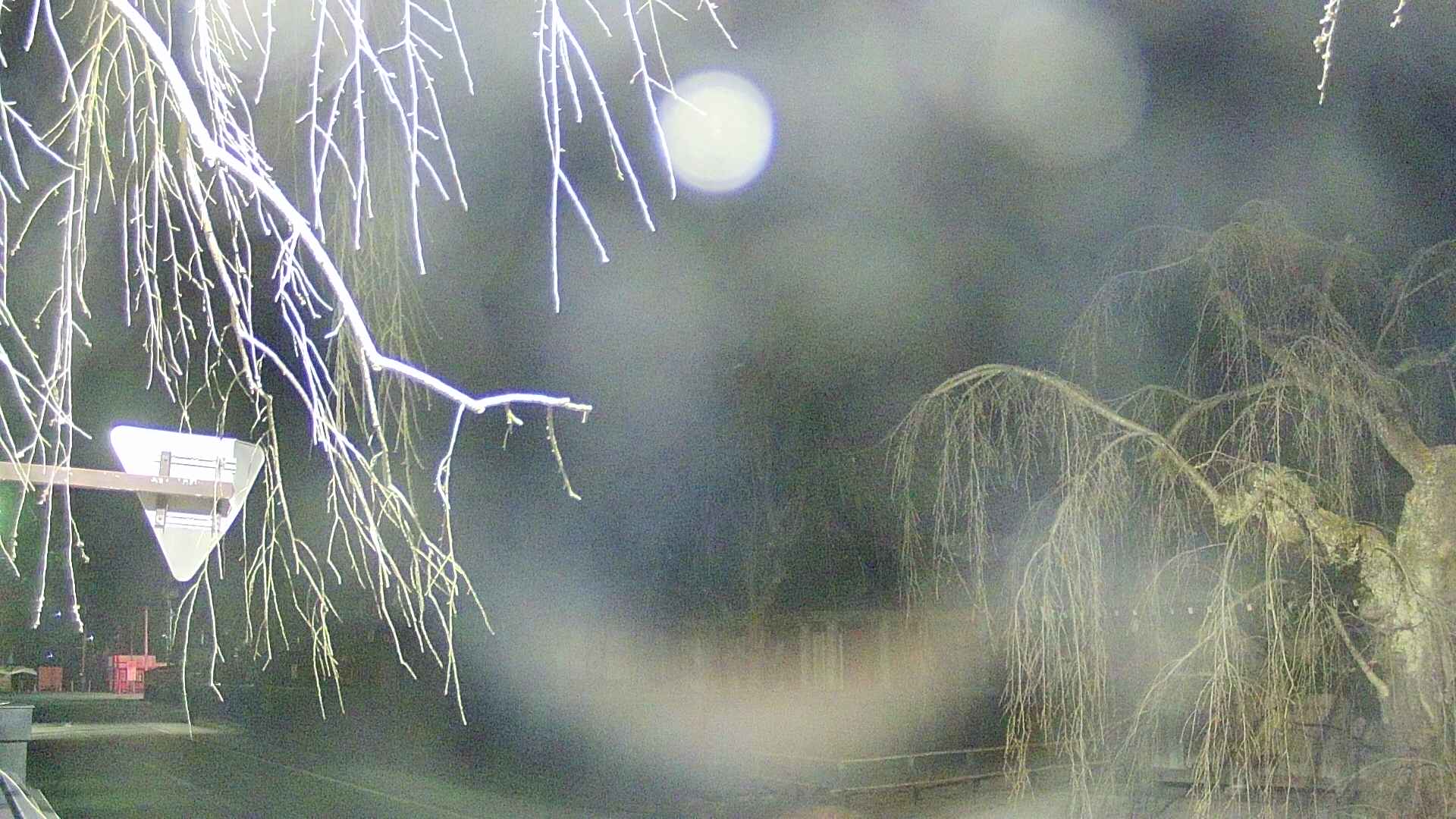 area1-20250413193016.jpg
