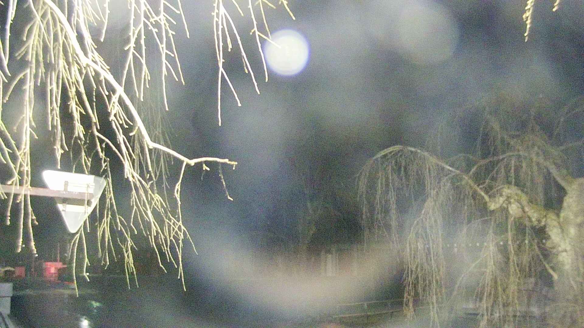 area1-20250414012016.jpg