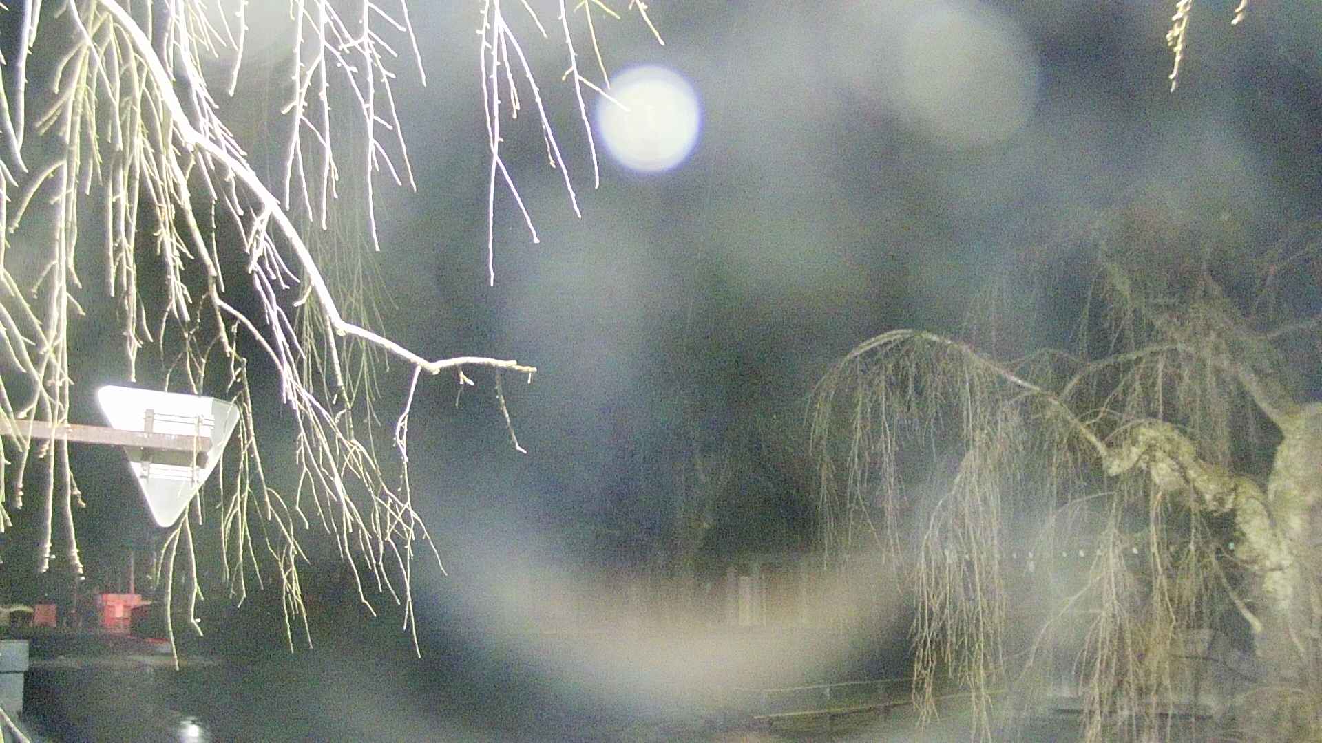 area1-20250414013017.jpg
