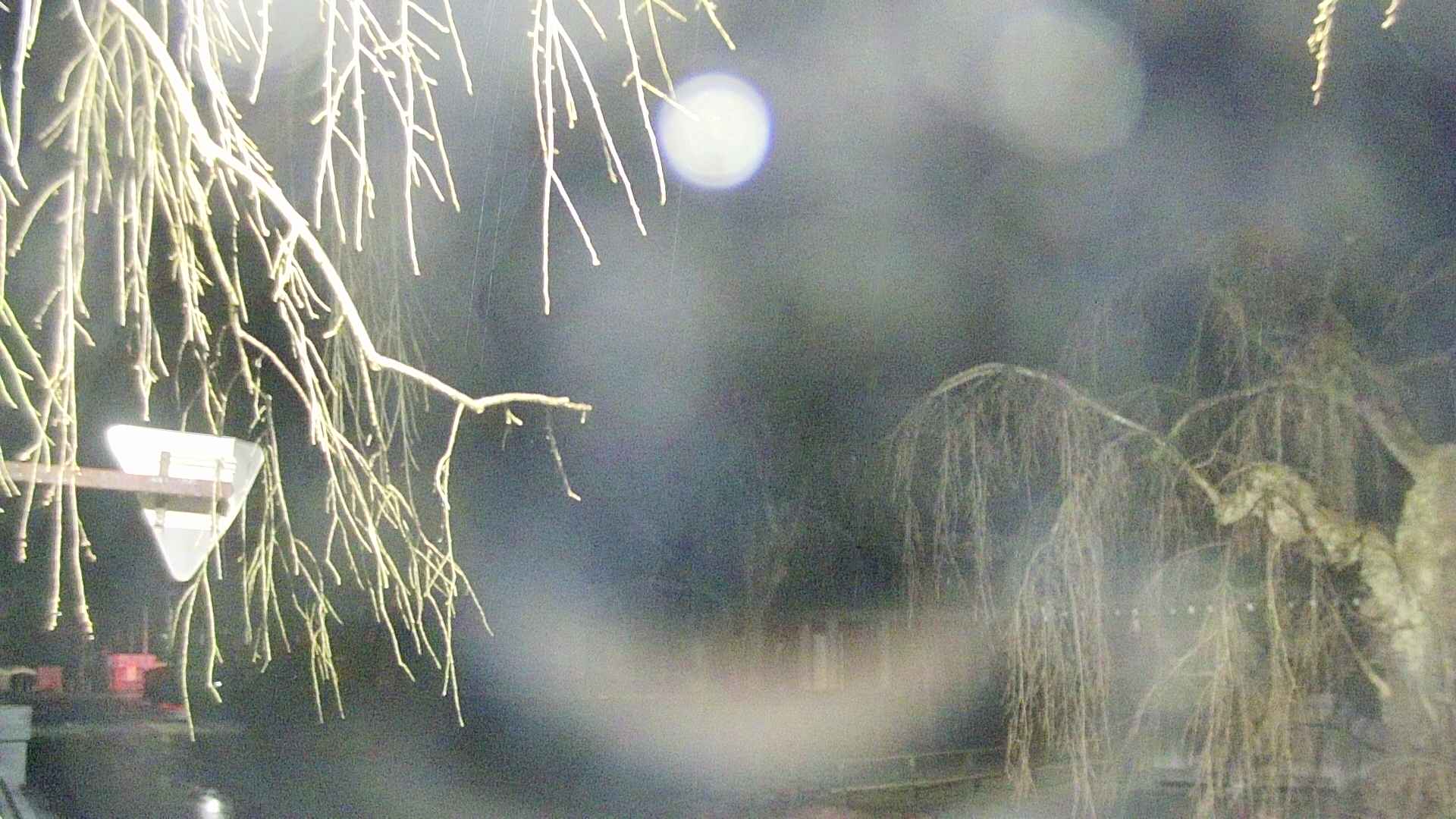 area1-20250414015017.jpg