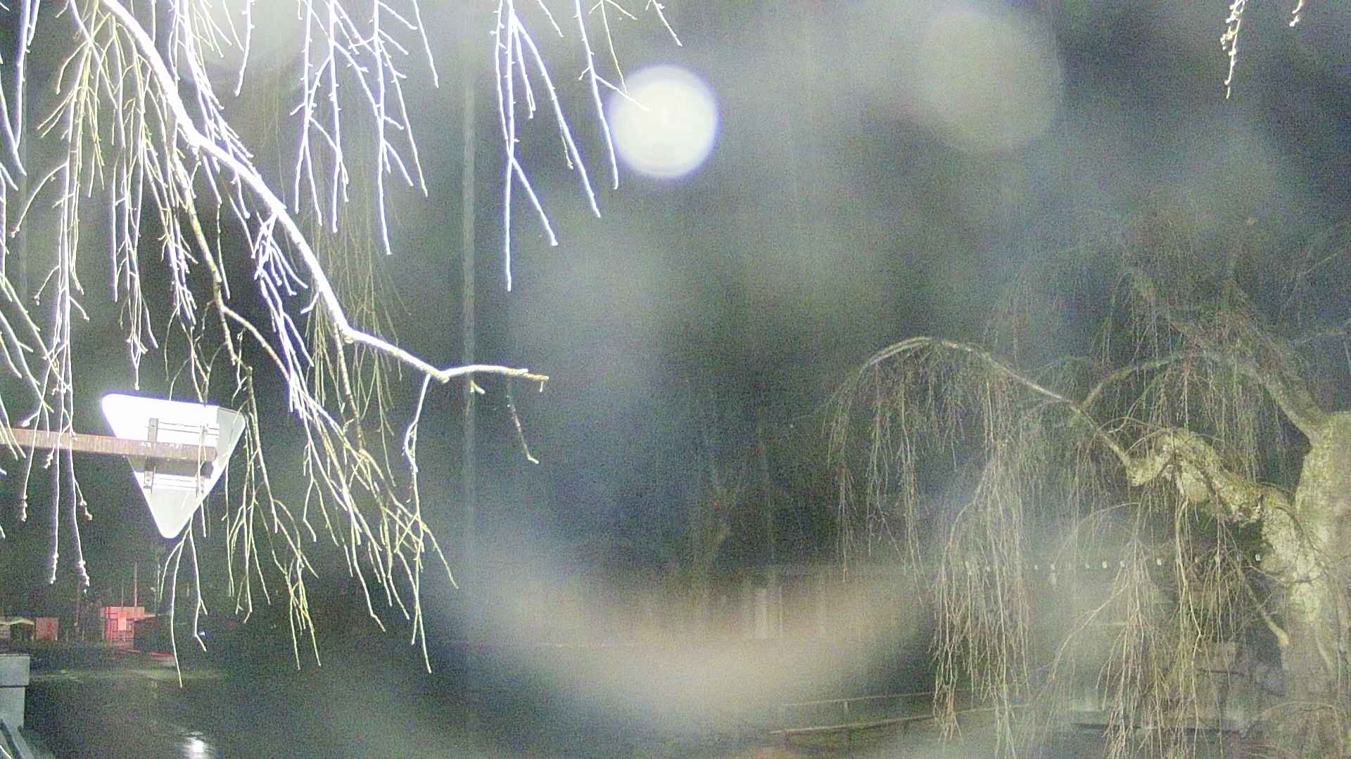 area1-20250414022017.jpg