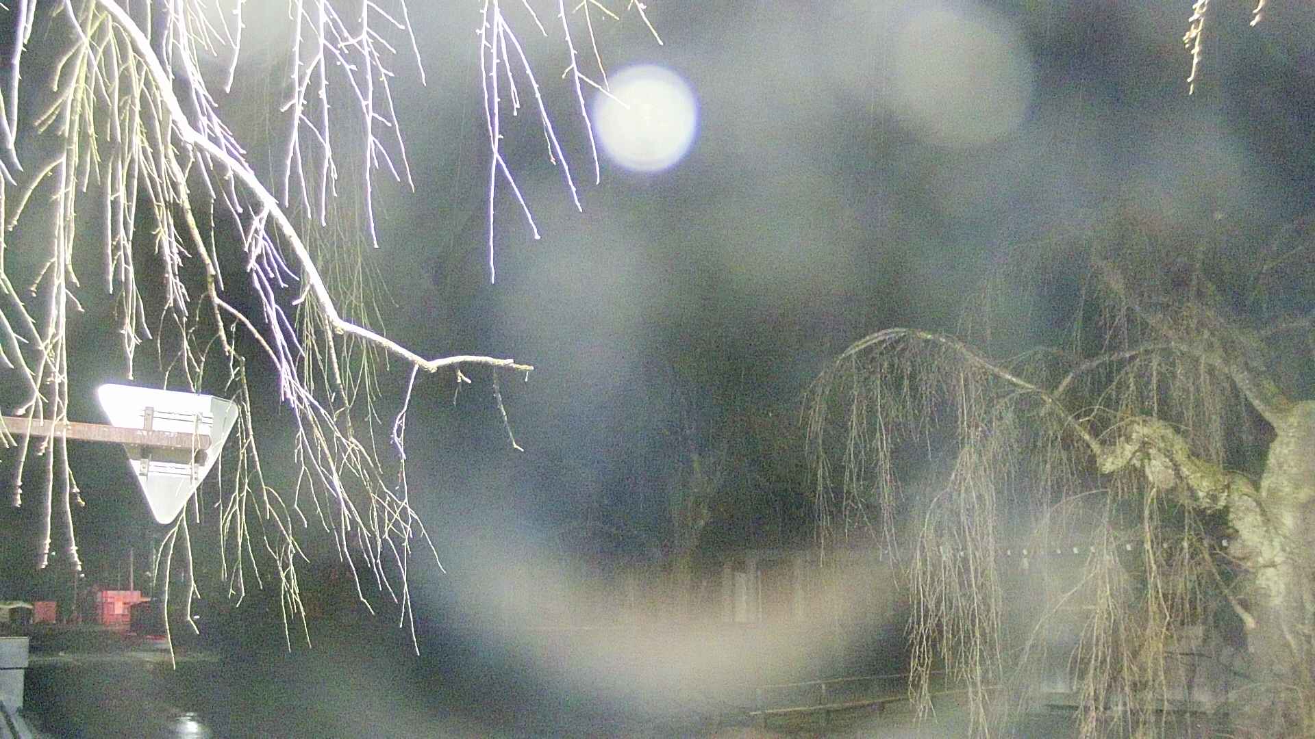 area1-20250414024016.jpg
