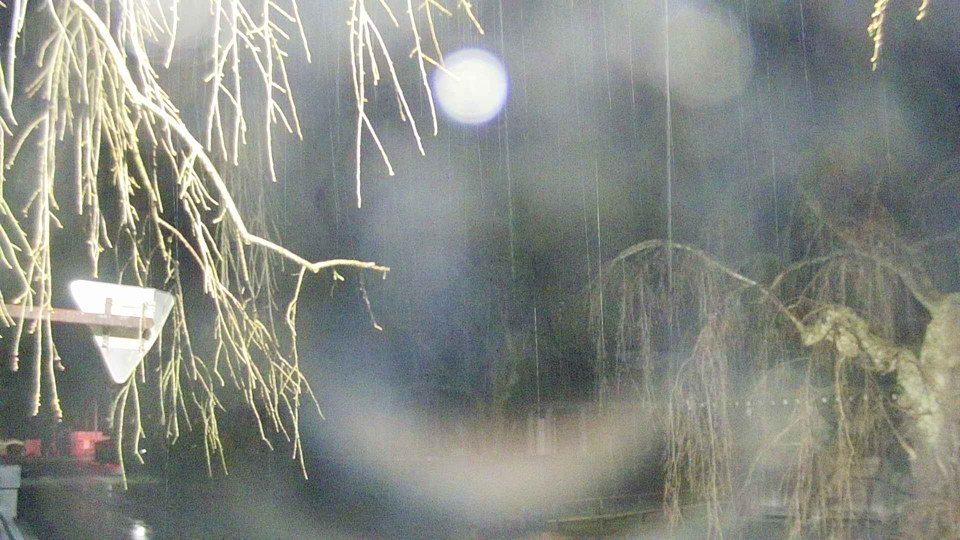 area1-20250414032016.jpg